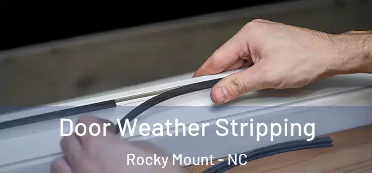 Door Weather Stripping Rocky Mount - NC