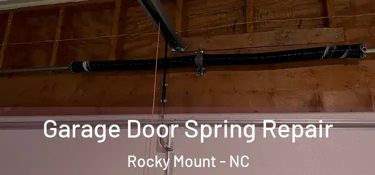  Garage Door Spring Repair Rocky Mount - NC